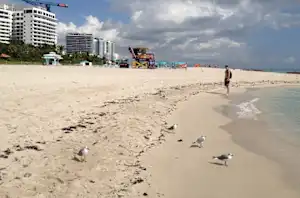 Отправьтесь в путешествие по 13 лучшим местам отдыха в США.