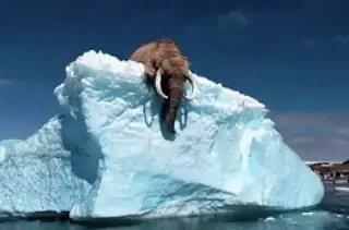 The Iceberg Floated Near a Village. All The Residents Turned Pale