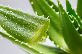 This Vision Trick is Helping People See More Clearly