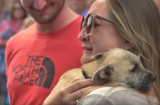 Heartwarming Reaction From a Couple Meeting Their Rescue Dog for the First Time