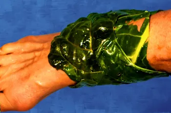 Neuropathy is Linked to This Household Item (Stop Using It)