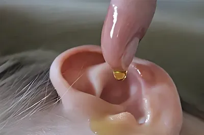 Top Biologist: If Anyone Has Tinnitus (Ear Ringing) Do This Immediately