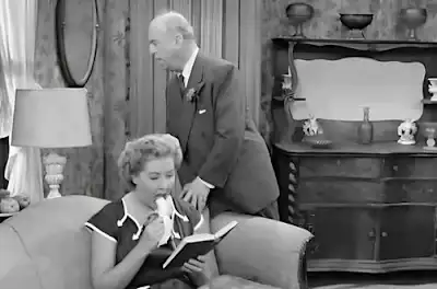 Jayne Mansfield Crash Dog