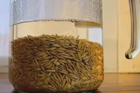 Doctor: A Teaspoon Kills All Worms in Your Body!