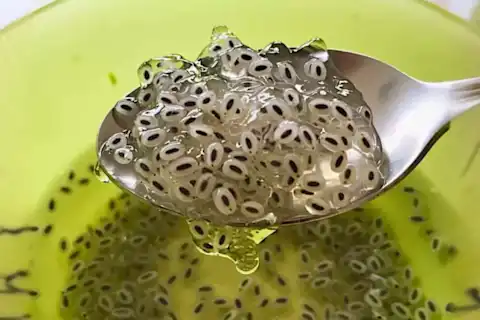 The Unexpected Lung Hack That’s Going Viral